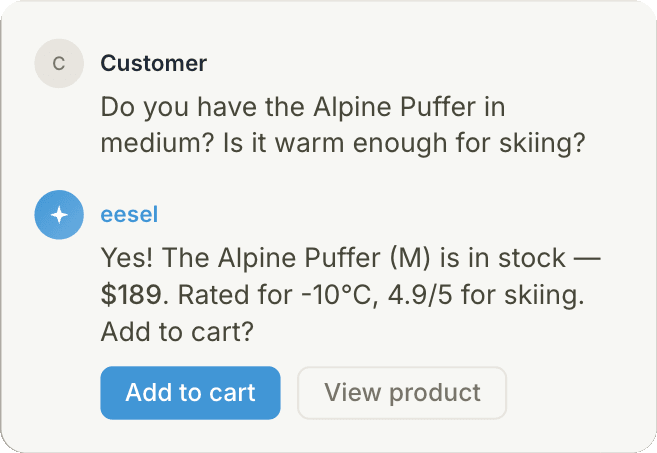 Illustrative eesel ecommerce conversation about a jacket, with Add to cart and View product buttons.