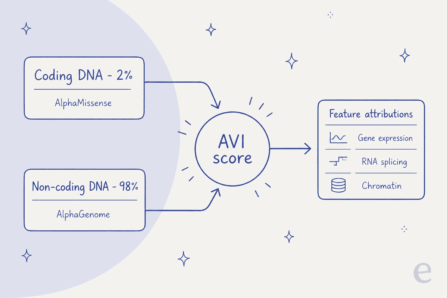 How the AVI score merges coding and non-coding predictions into one comparable number