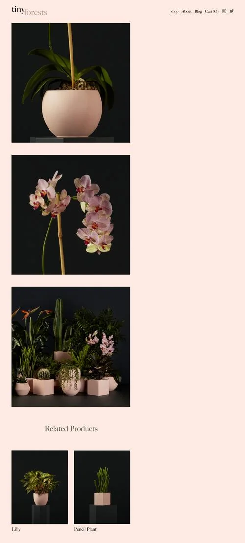 A Squarespace commerce storefront with product listings, as shown on Squarespace