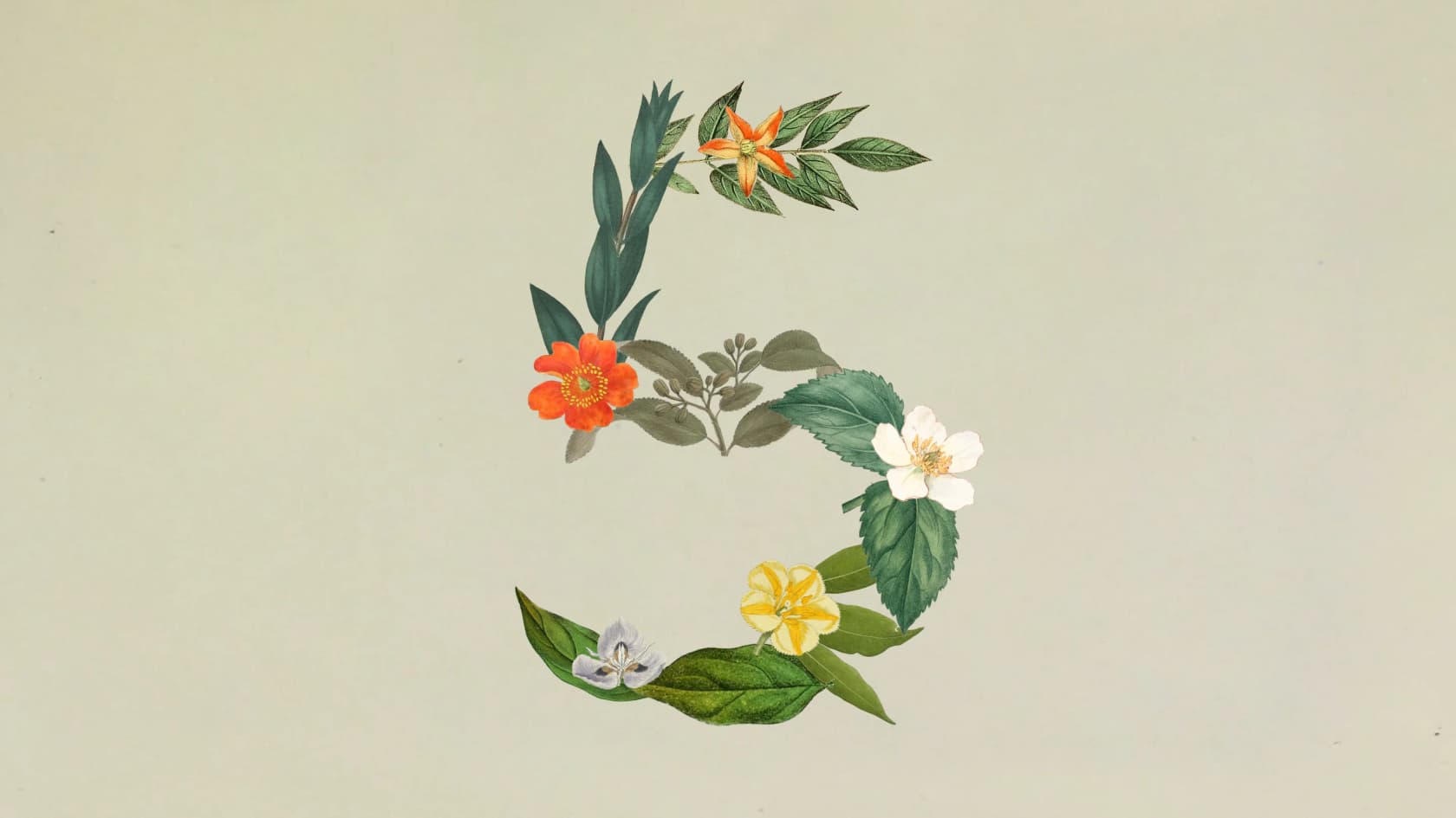 A mix of flowers and leaves forming the number 5, as taken from Anthropic