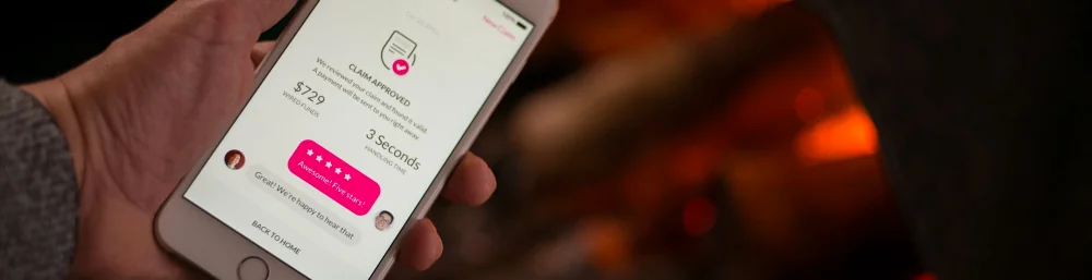 Lemonade's app showing a claim approved for $729 in 3 seconds, as taken from Lemonade