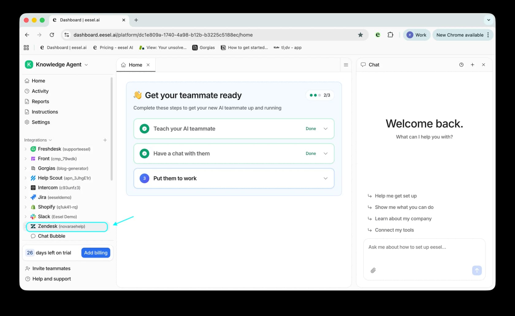 eesel's dashboard onboarding checklist showing 'Teach your AI teammate' and 'Have a chat with them' marked Done, with 'Put them to work' as the next step