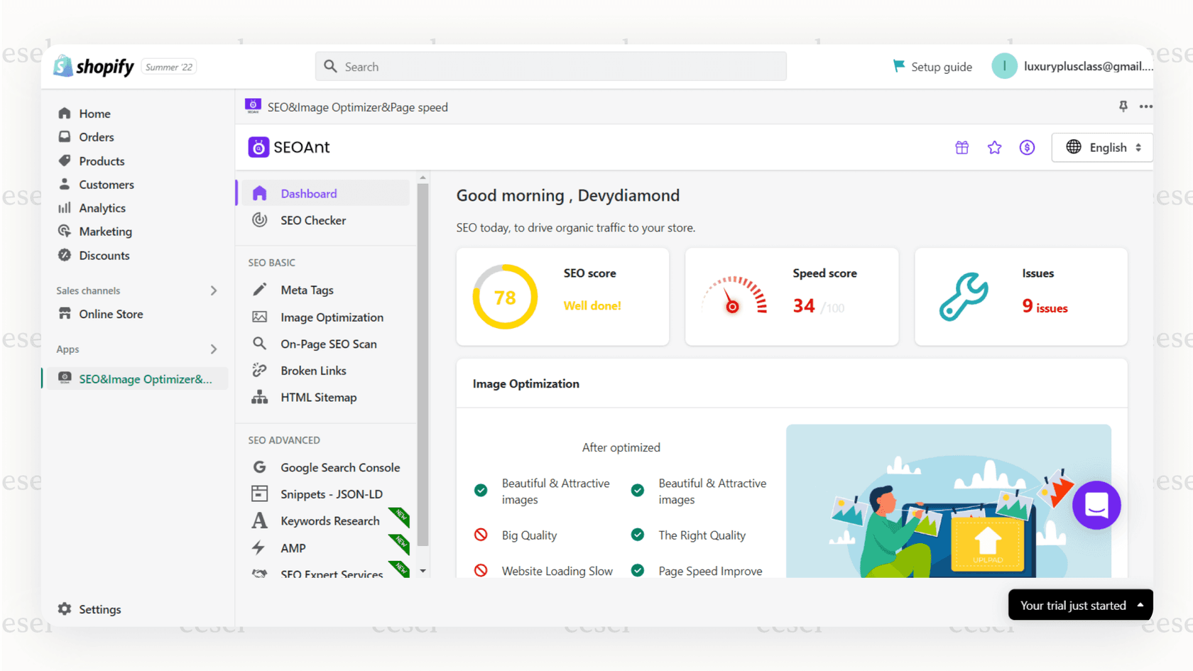SEO scanning in SEOAnt's dashboard.