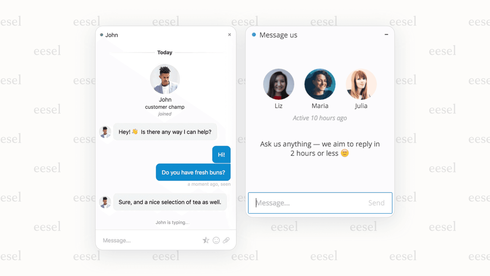 Chatra AI chatbot in the online and offline state for Shopify.