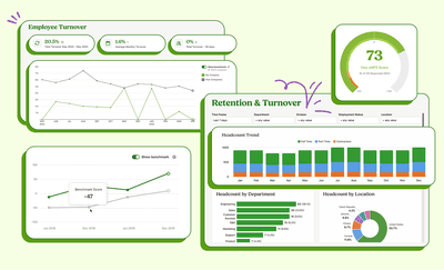 BambooHR insights and dashboards