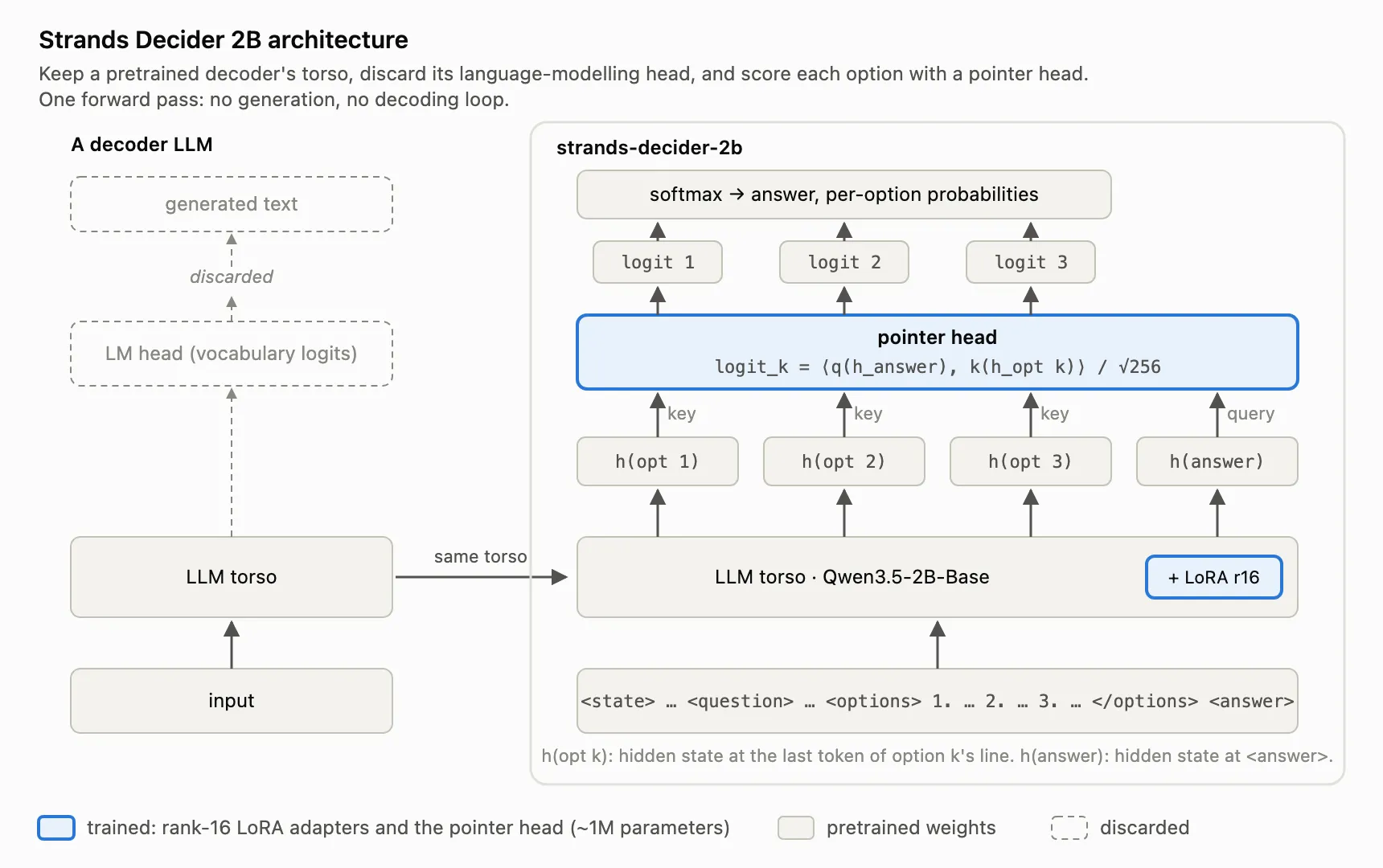Strands Decider 2B architecture diagram: a decoder LLM's language-modelling head is discarded, and the same Qwen3.5-2B torso with a rank-16 LoRA feeds a pointer head that scores each option, as taken from Strands